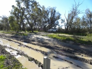 We did not drive through this!