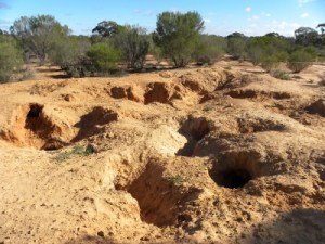 Guess who lives here?