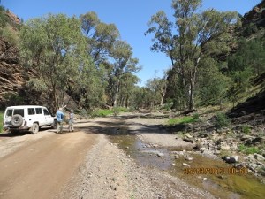 Brachina Gorge, Flinders Ranges National Park