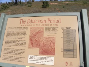 The Ediacaran Period
