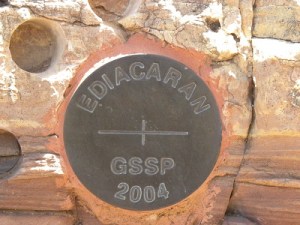 Edicaran plaque 'Golden Spike'