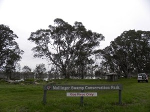 Mullinger Swamp on a wet day