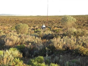 Winninowie Conservation Park