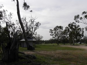 Wonga campground, Wyperfeld National Park