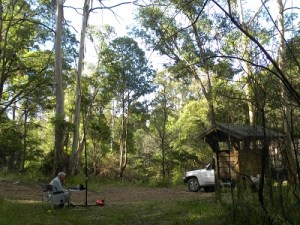 Alpine National Park