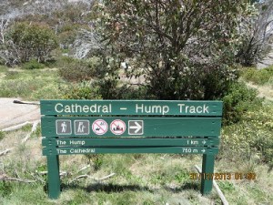 Cathedral - Hump Track