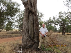 VK5BJE near canoe tree Terrick Terrick National Park