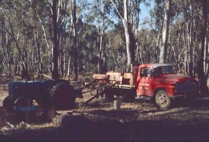 Sleeper cutting in Barmah Forrest July 1972