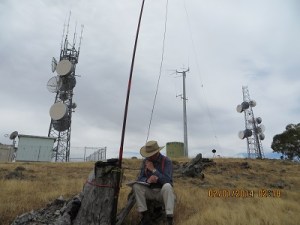 Dead stumps come in handy: near the summit of Mount Moliagul