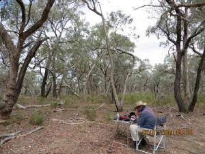 In Kara Kara National Park