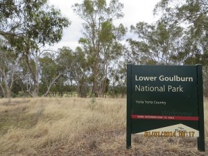 Lower Goulburn National Park - Reedy Swamp