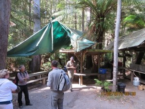 Picnic area Arthur River