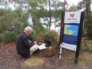Tasman National Park - Fortescue Bay
