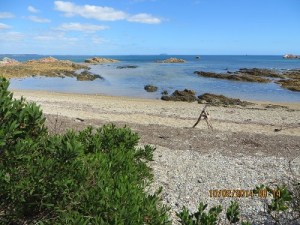 The driftwood tripod: one end of the linked dipole was attached: constructed by JCD
