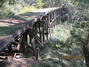 Historic trestle bridge on Cudgewa line