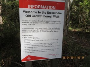 Old Growth Forest Walk