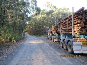 The log-truck with the load on board