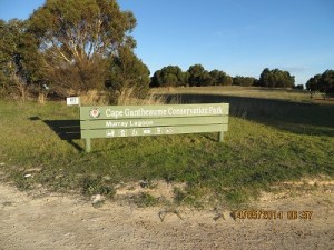 Cape Gantheaume Conservation Park - Murray Lagoon