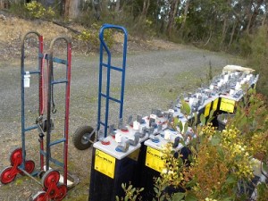 The old cells JCD photo