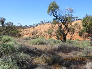 Red cliffs at Redbanks Conservation Park