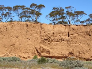 The view from my operating position at Redbanks CP