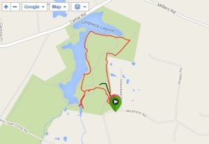 Walk at Longneck Lagoon