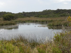 Lagoon near Salt Creek JCD photo