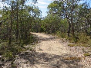 Approaching Gate 8 on Cup Gum Track