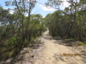 Closer to Gate 8 on Cup Gum Track
