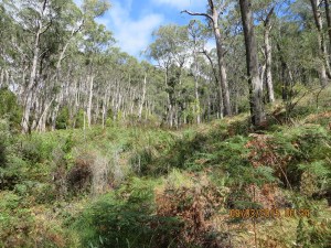 Eurilla Conservation Park