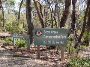 Gate 8 looking into the Park