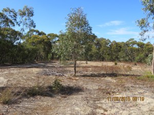 My operating position at Gate 8