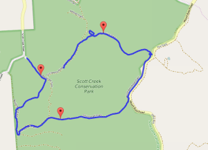 Scott Creek Walk 11th March 2015 showing photo locations