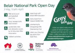 Belair Open Day reverse