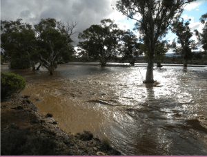 Another view of Warriota Creek. JCD photo