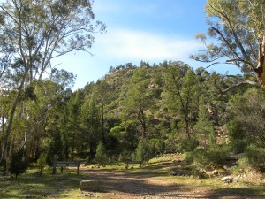 Mount Remarkable National Park - Mambray Creek JCD photo