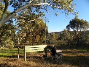 Mount Remarkable National Park: Winowie Forest