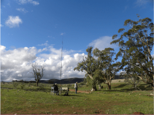 Mount Brown Conservation Park. JCD photo