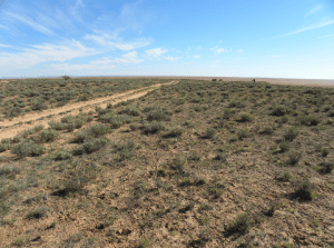 On the edge of Lake Torrens looking back to the Flinders Ranges. JCD photo
