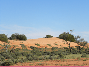 Sand dune on way to Lake Torrens National Park. JCD photo