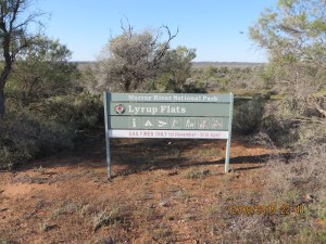 Murray River National Park Lyrup Flats section