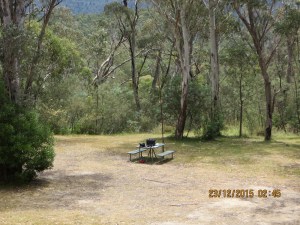My spot at Tidbinbilla Nature Reserve