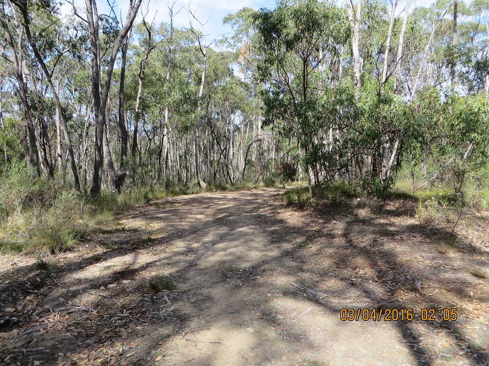 Looking down the track