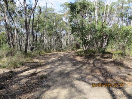 Looking down the track