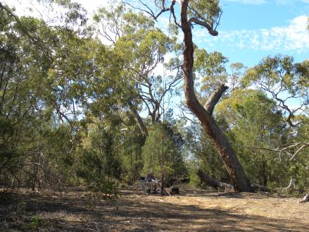 MJD at Black Range 2