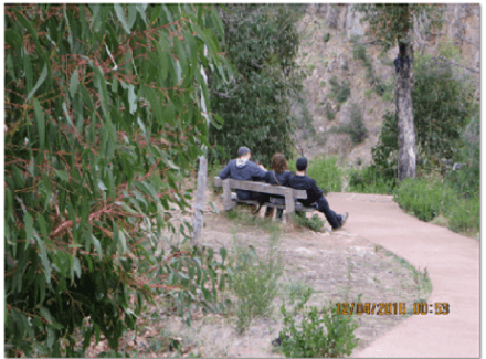 Three homo sapiens and a canis lupus