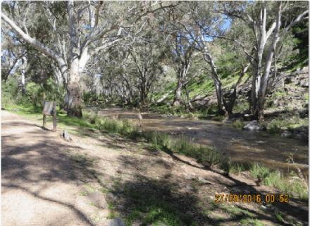 mambray-creek-in-flood