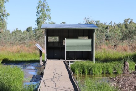 birdhide-at-murrumbidgee-np