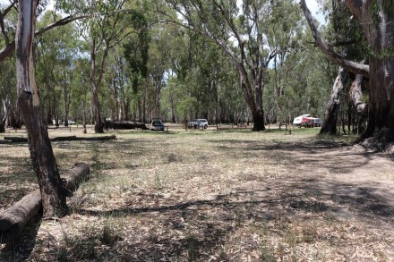 campground-at-bramah-np