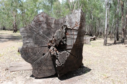 diameter-greater-than-my-height